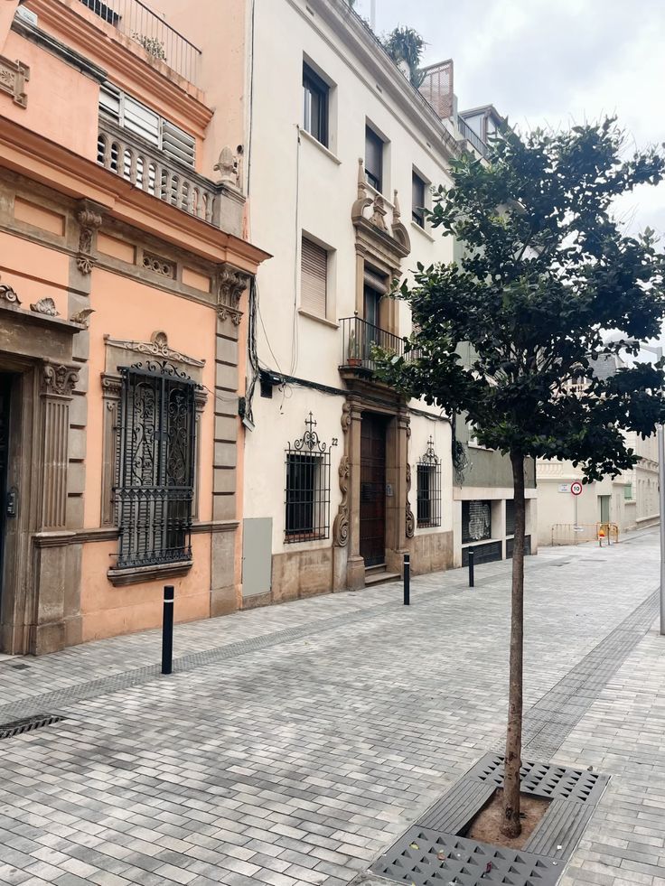 A quiet residential street in Sant Gervasi with low houses and a young tree